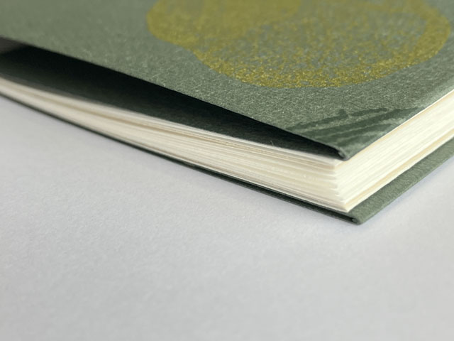 Manueel-van-het-Ongelezen-Boek-detail2